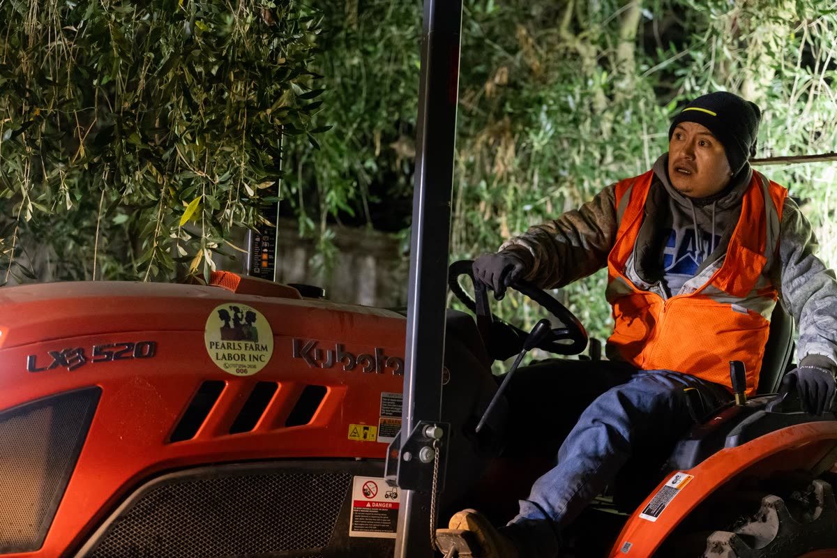 Driver on an orange Kubota tractor at night