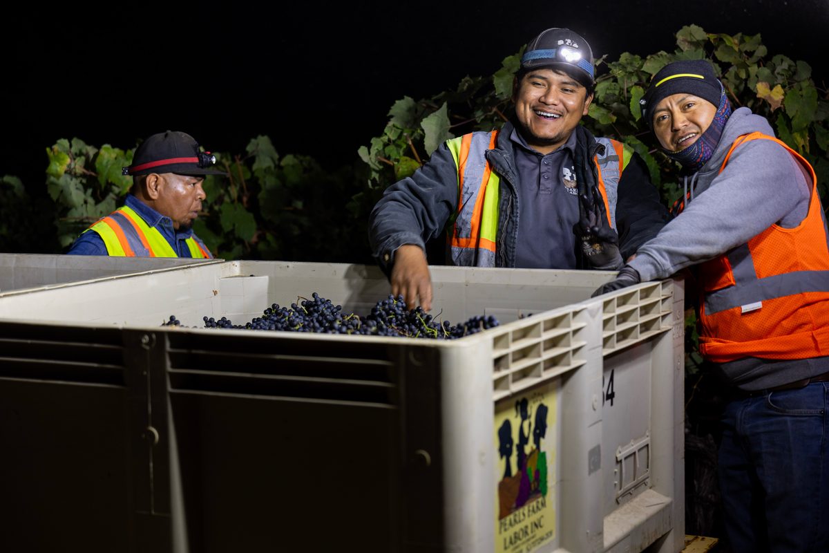 Three crew members at a Pearls bin at night, two laughing toward the camera